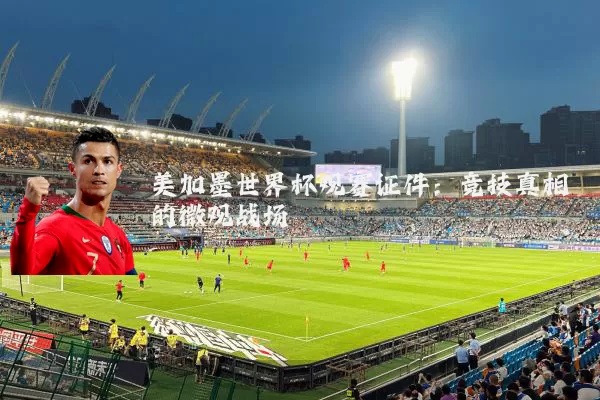 美加墨世界杯观赛证件:竞技真相的微观战场